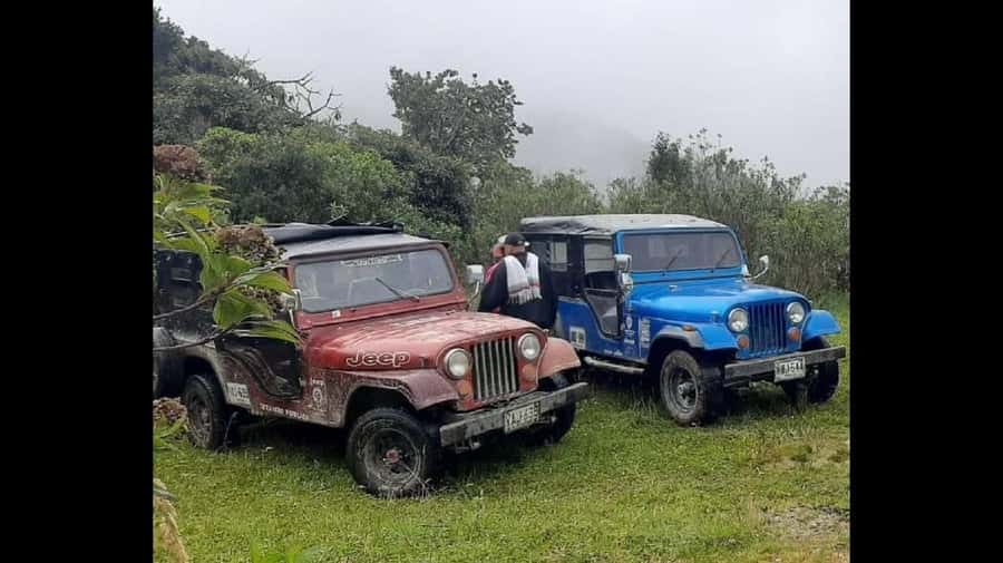 From Salento: Cocora Valley Hiking Tour with Lunch - Meeting at Salento’s main square at 9:00