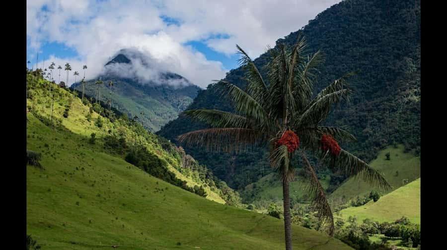 From Salento: Cocora Valley Hiking Tour with Lunch - Is $108 a good price for this outing?