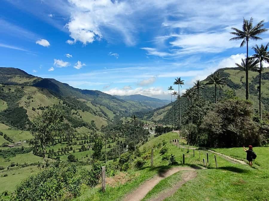 From Salento: Cocora Valley Shared Tour - Quick facts about the Cocora Valley outing