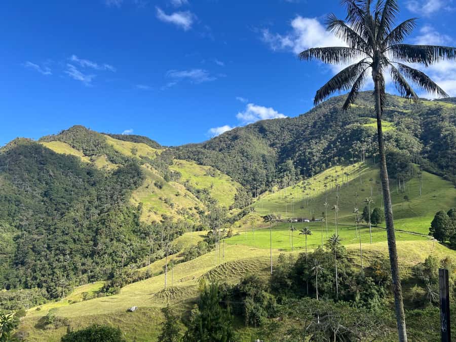 From Salento: Cocora Valley Shared Tour - What the $69 price really buys