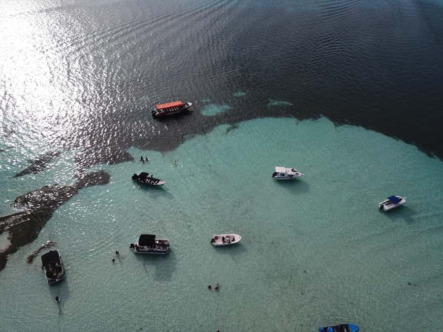 From San Andres: Cayo Acuario Tour - Who will enjoy this day most