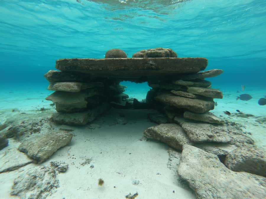 From San Andres: Cayo Acuario Tour - Three and a half hours around Cayo Acuario
