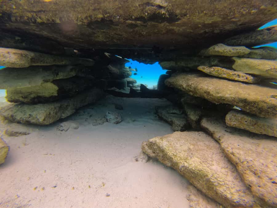 From San Andres: Cayo Acuario Tour - Walking toward another key