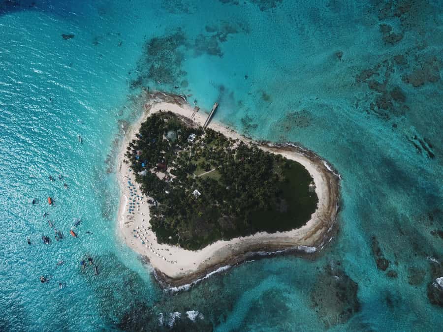 From San Andrés: Speedboat Tour to Johnny Cay Island - Key points to know before booking