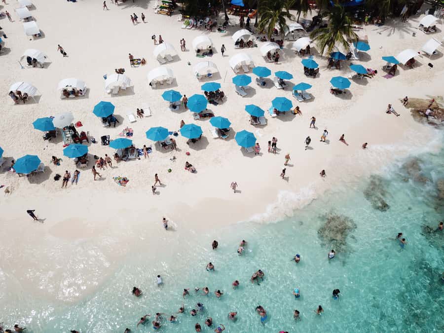 From San Andrés: Speedboat Tour to Johnny Cay Island - Beaches, iguanas, and the commercial side of the cay