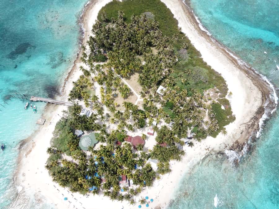 From San Andrés: Speedboat Tour to Johnny Cay Island - Who should book this outing