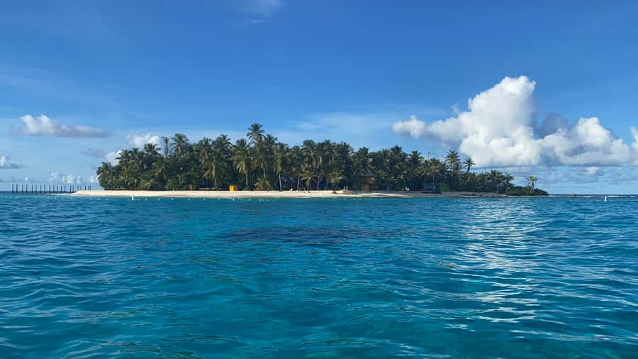 From San Andrés: Speedboat Tour to Johnny Cay Island - Meeting at Av. Newball