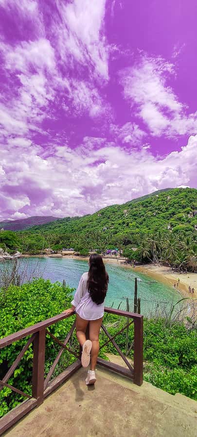 From Santa Marta: Tayrona National Park Guided Tour - Three hours at Cabo San Juan del Guia
