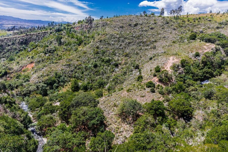 From Villa de Leyva: La Periquera Hiking Tour - What the guide adds to the walk