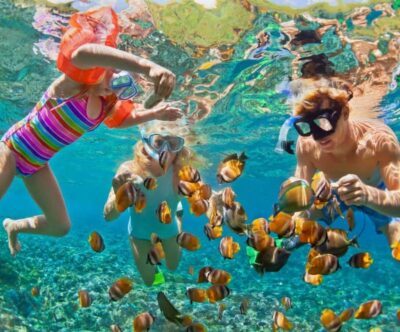 Full Day Barú island: Mangrove +Snorkel + Sunset + Plankton