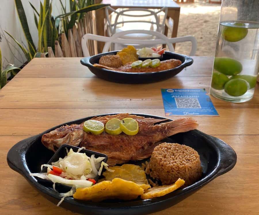 Full Day Barú island: Mangrove +Snorkel + Sunset + Plankton - What $69 buys you