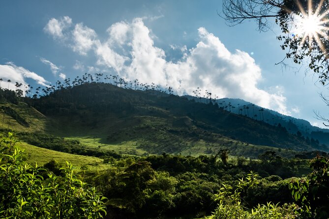 Full Day Climbing The Cocora Valley with Lunch - Why the Cocora Valley is worth a full day