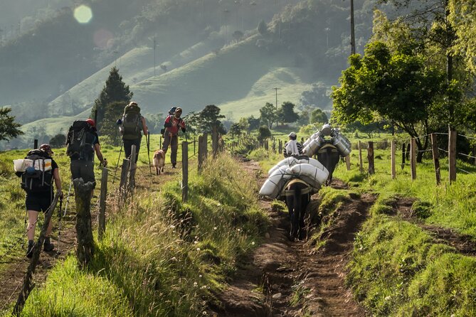 Full Day Climbing The Cocora Valley with Lunch - Lunch, snacks, and the timing trap