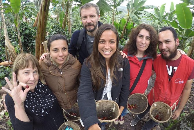 Full-Day Private Coffee Tour in Cocora Valley and Salento - Why this makes a strong first day in the coffee region