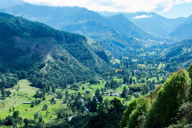 Full-Day Private Coffee Tour in Cocora Valley and Salento - Walking through Cocora Valley and its giant wax palms
