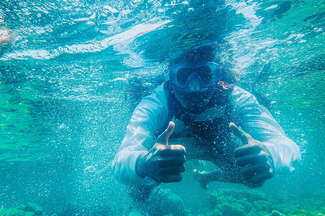 Full Day Tour of Five Premium Islands in Cartagena - Isla Grande snorkeling near reefs and plane wrecks