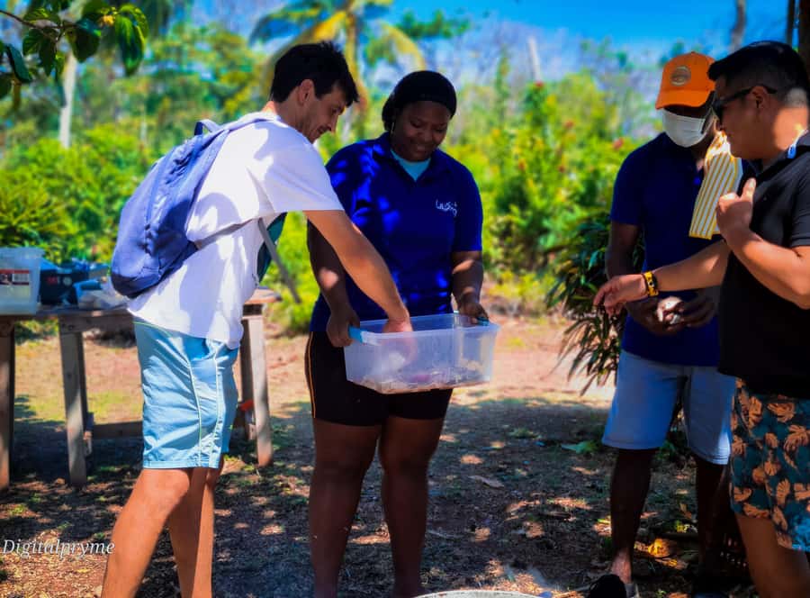 Gastronomic and musical experiences in San Andres Rondontour - Why rondón is the right dish for this experience