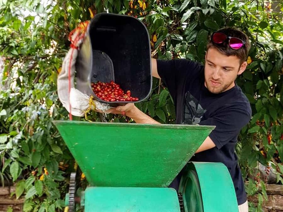Guatapé & Coffee Farm, all in one day - Lunch and the Painted Streets of Guatapé