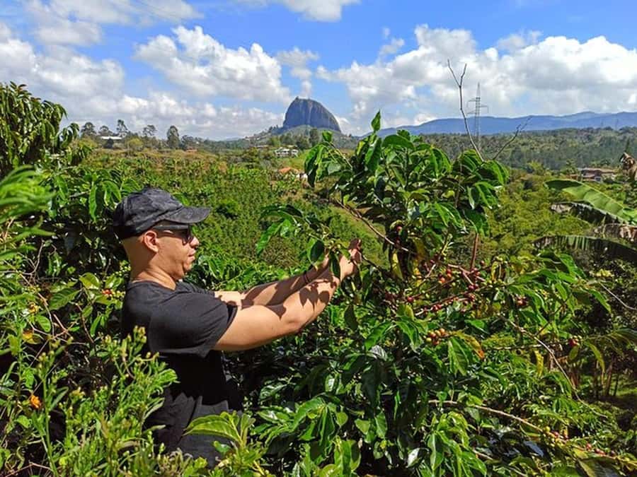 Guatapé & Coffee Farm, all in one day - Inside a Working Coffee Farm