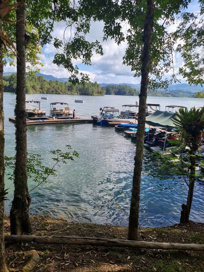 Guatapé: Day trip with Transport, Food & Boat - Breakfast and lunch: useful, local, and built into the day