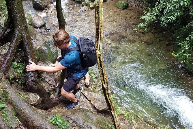 Half Day Waterfall Tour from Medellin - A waterfall reward worth working for