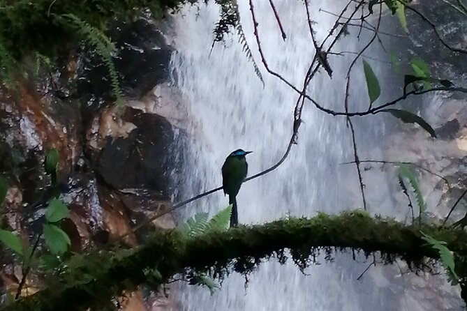 Half Day Waterfall Tour from Medellin - Guides, group care, and the human side