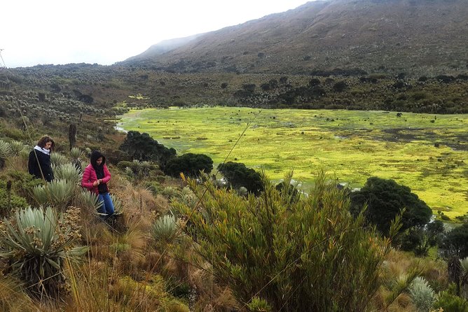 Hiking to the largest paramo on earth : Sumapaz - Why Sumapaz feels so different from Bogotá