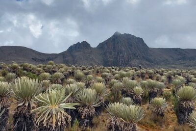 Hiking to the largest paramo on earth : Sumapaz
