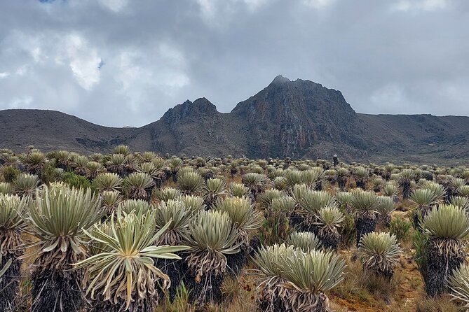 Hiking to the largest paramo on earth : Sumapaz - The morning drive and a worthwhile Colombian breakfast