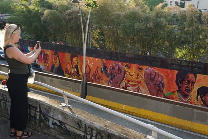 Historical Shared Tour Salsa, Graffiti & Resistance in Cali - What the $14 price really covers