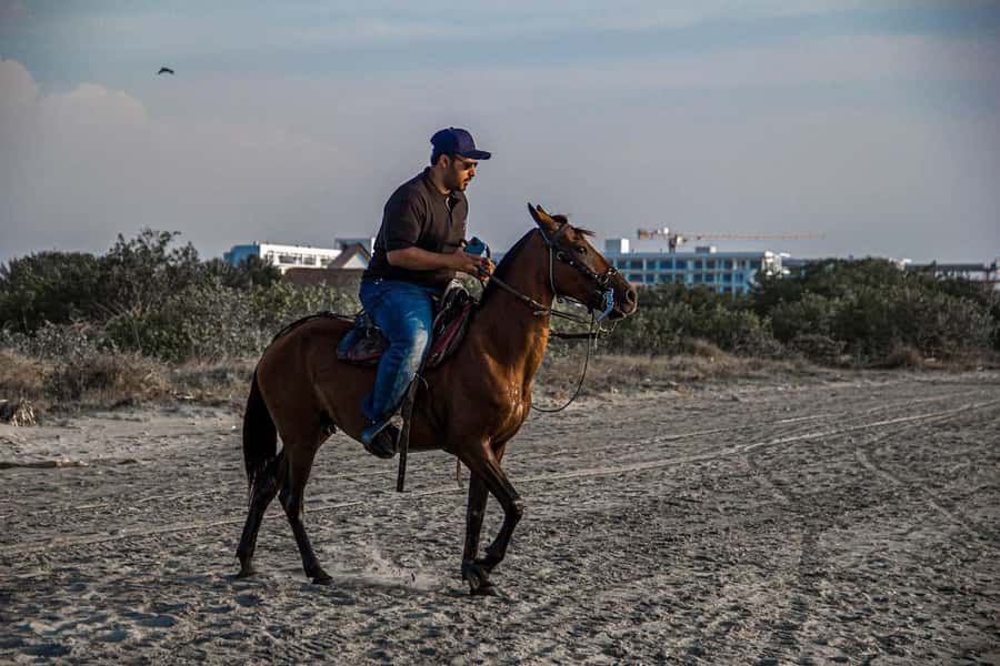HORSE TOUR IN CARTAGENA BEACH - Practical advice before you go