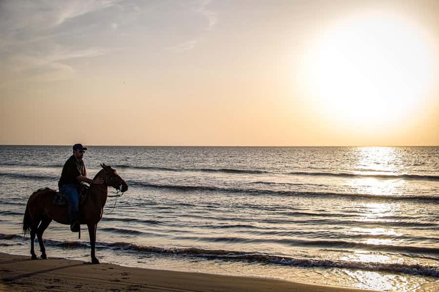 HORSE TOUR IN CARTAGENA BEACH - Meeting the horses and choosing your pace