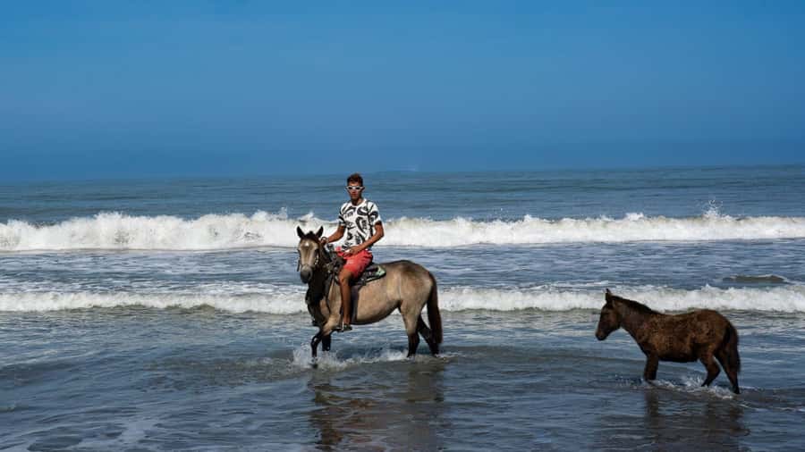 HORSE TOUR IN CARTAGENA BEACH - What the guide adds to the experience