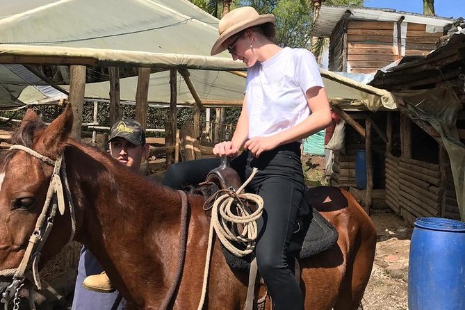 Horseback Riding Adventure from Medellin - Leaving Medellín for the Llanogrande hills