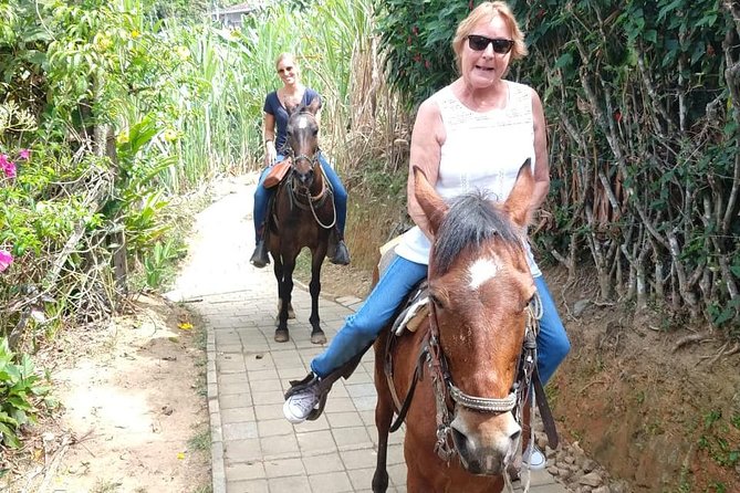 Horseback Riding Adventure from Medellin - Guides, language, and the private format