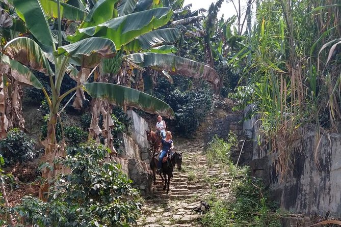 Horseback Riding Adventure from Medellin - Who will enjoy this ride most?