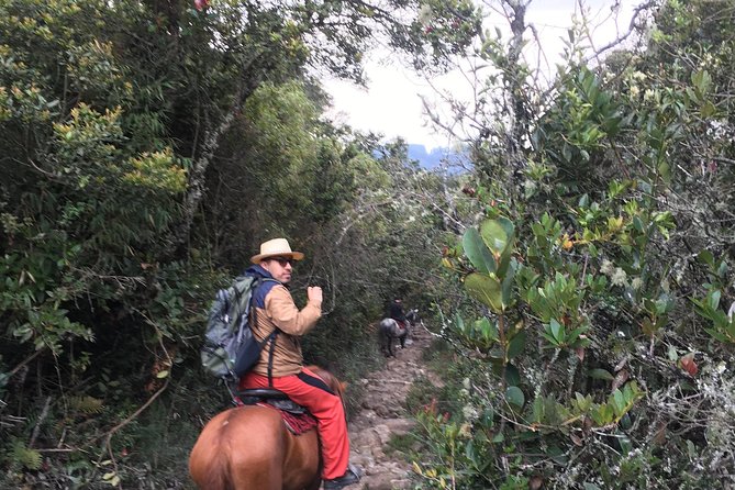 Horseback Riding from Guadalupe to Monserrate Private Day-Tour - Food: plan carefully before leaving