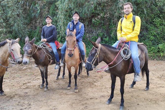 Horseback Riding from Guadalupe to Monserrate Private Day-Tour - Getting acquainted with the horses and the route