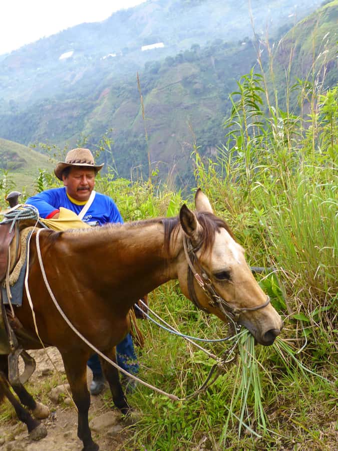 Horseback Riding Tour and visit to Tablón, Chaquira, Pelota - Key details before you saddle up