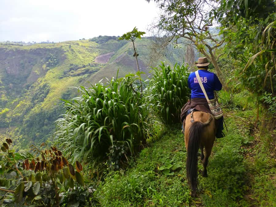 Horseback Riding Tour and visit to Tablón, Chaquira, Pelota - Why horseback riding works so well in San Agustín