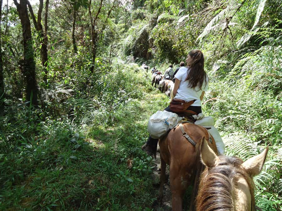 Horseback Riding Tour and visit to Tablón, Chaquira, Pelota - Starting at your hotel in San Agustín