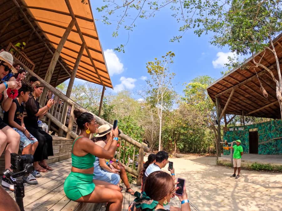 Isla Barú: Beach Club Access and Tour of the National Aviary - Why combine the aviary with Playa Blanca?