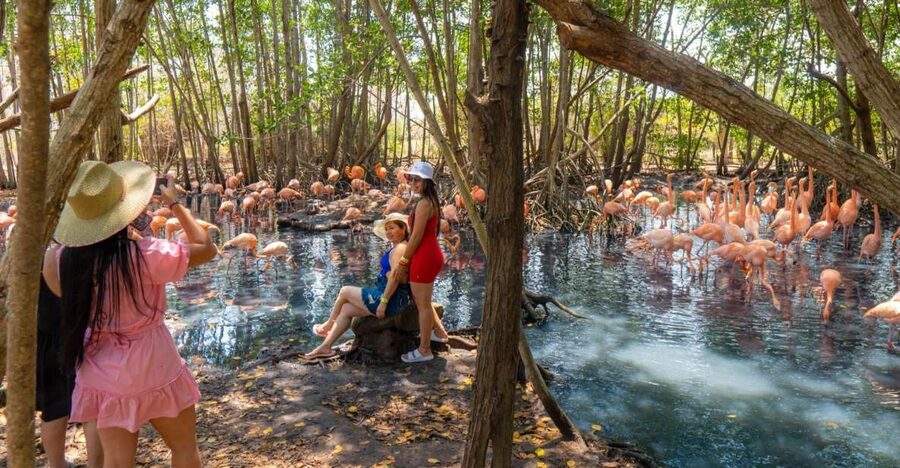 Isla Barú: Beach Club Access and Tour of the National Aviary - Three hours at Playa Blanca
