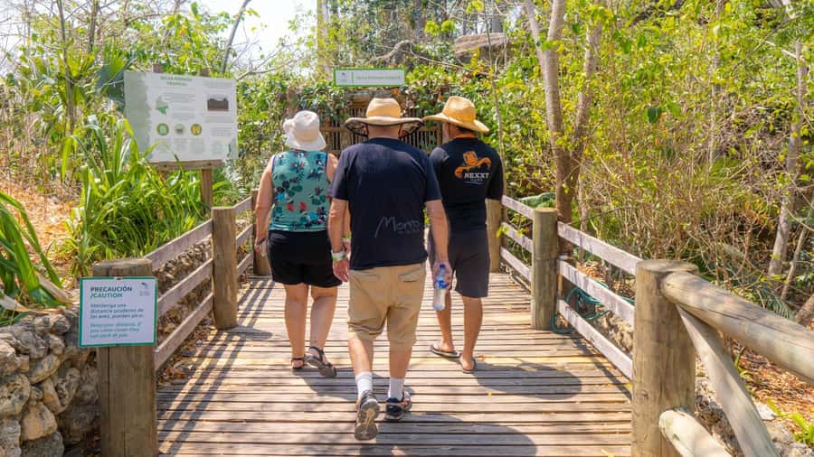 Isla Barú: Beach Club Access and Tour of the National Aviary - Lunch and the 30,000 peso voucher