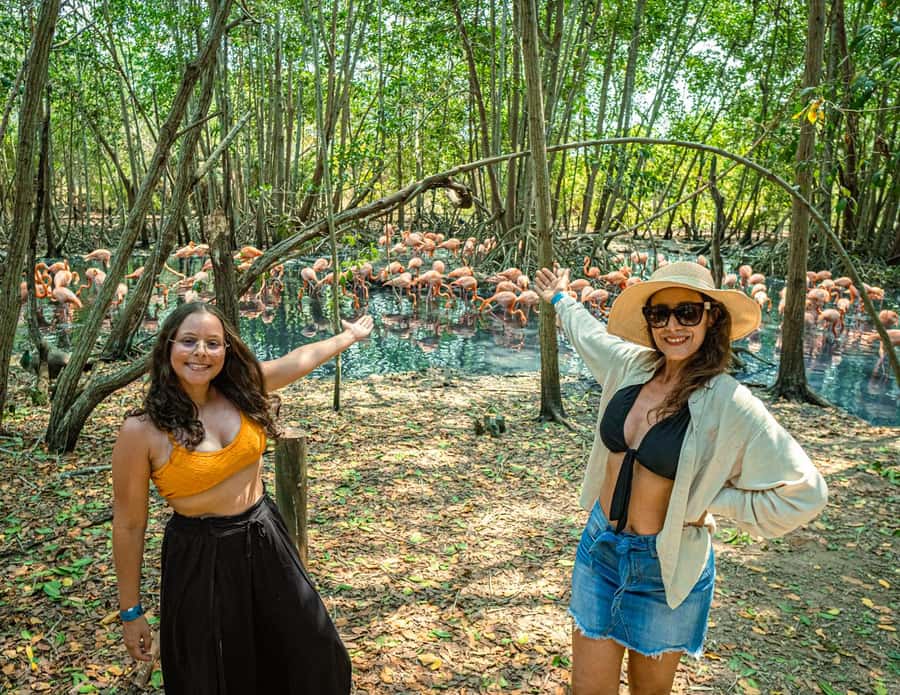 Isla Barú: Beach Club Access and Tour of the National Aviary - Morning pickup and the drive across Barú