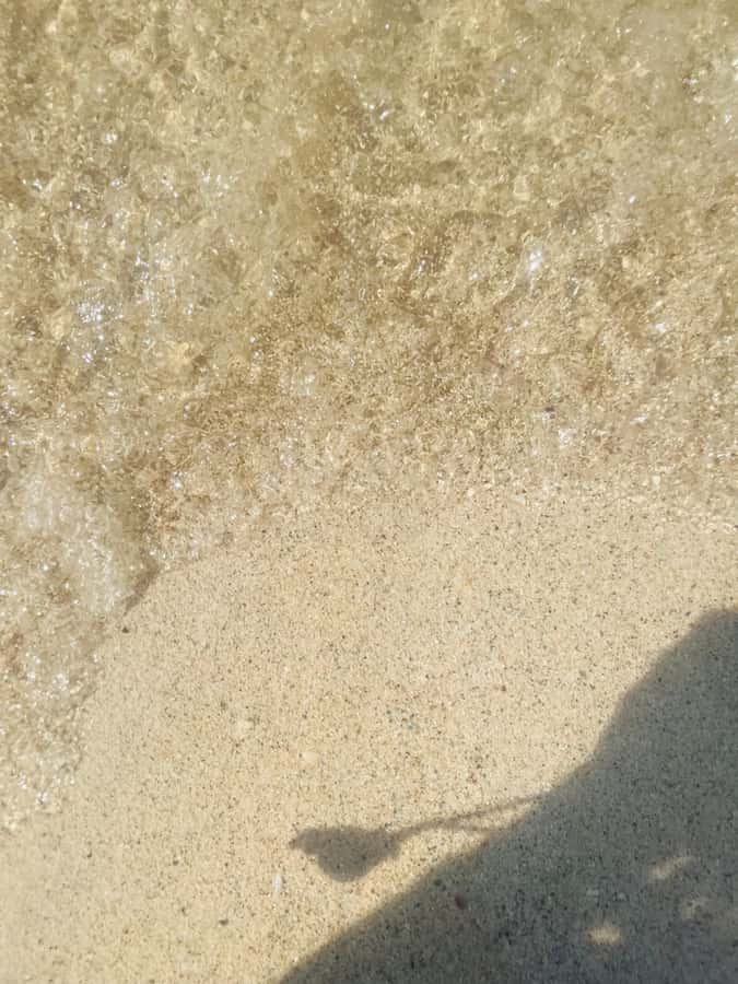 Isla Tierra Bomba beach club: Day Pass with typical food - Key Details Before You Go
