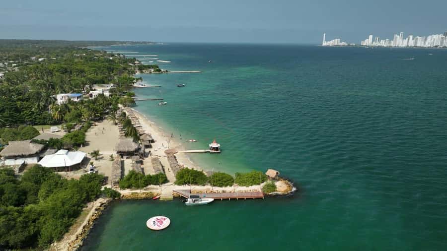 Isla Tierra Bomba beach club: Day Pass with typical food - Arriving at Fenix Beach Club With a Welcome Drink