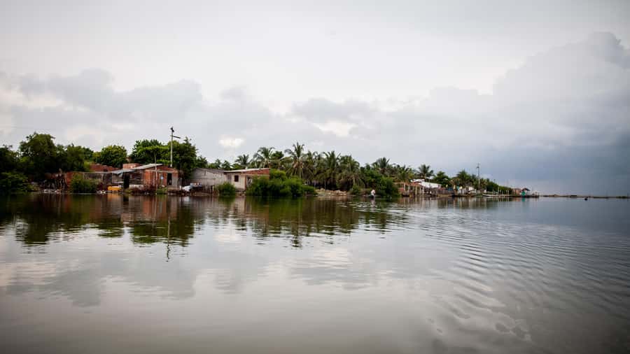 La Boquilla: 3-Hour Canoe Tour through the Mangroves - Coconut water and the end of the outing
