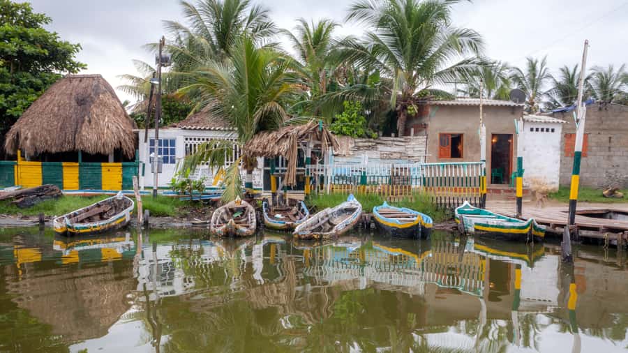 La Boquilla: 3-Hour Canoe Tour through the Mangroves - Meeting the guides who know the waterways