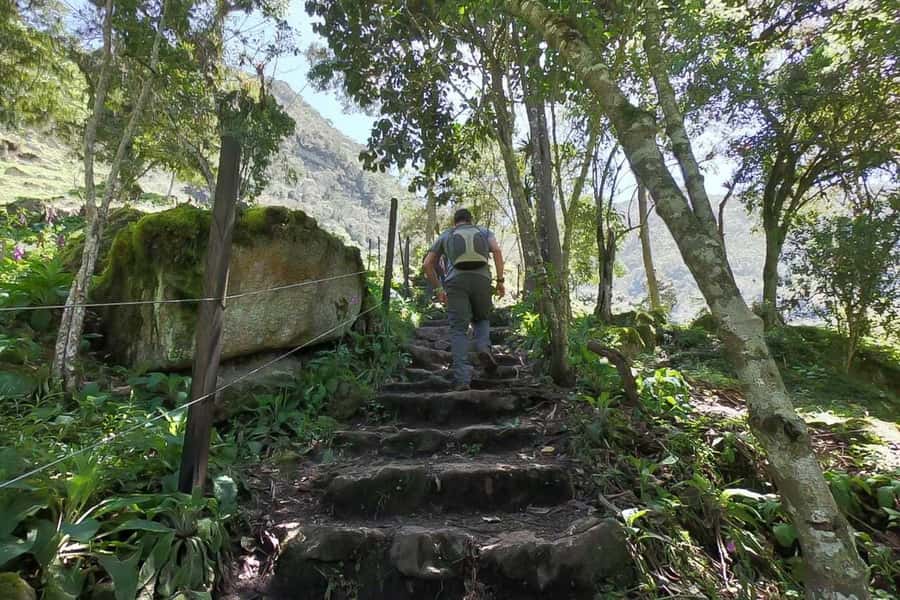 La Chorrera and Chiflon Waterfalls Private Hike Tour - What the $109 Price Delivers